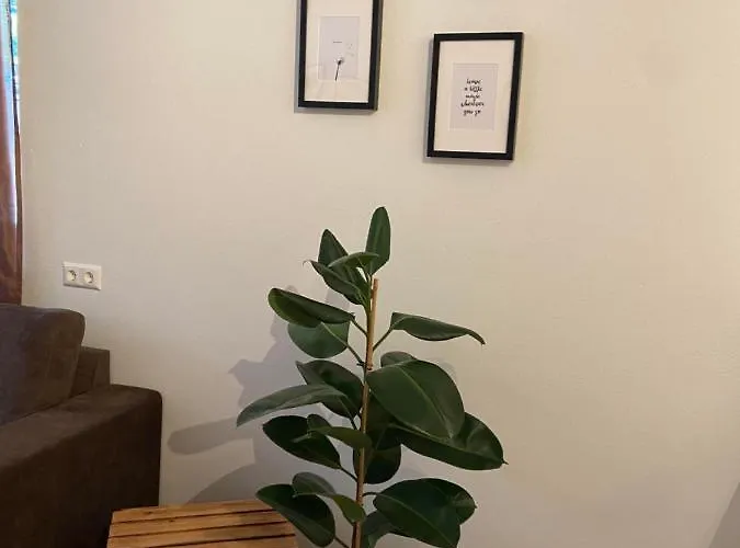 Appartement Riverside Alpbach