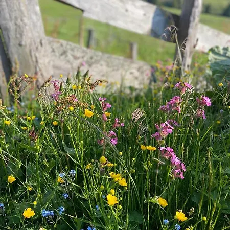 Riverside Lägenhet *