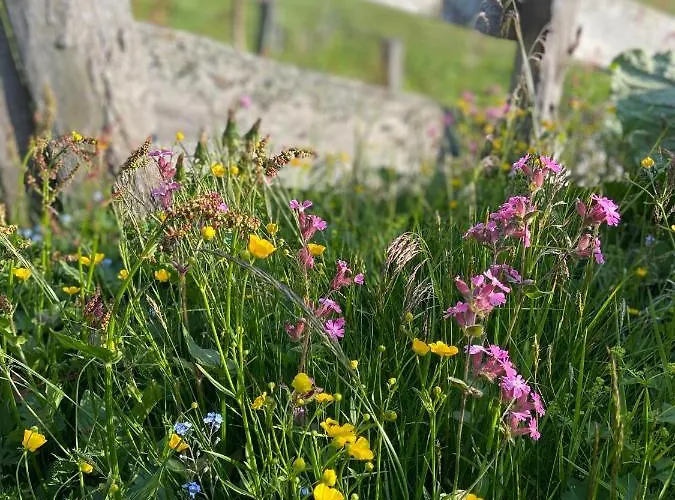 Riverside Апартаменты *